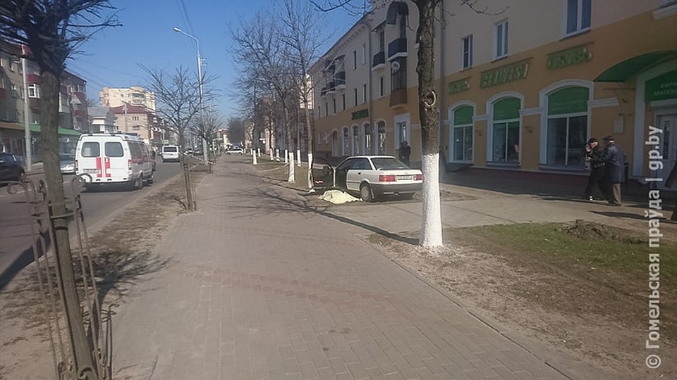 Приехавшая бригада скорой помощи констатировала смерть не только пешехода, но и водителя. Фото: gp.by.