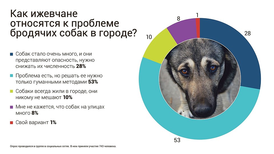 Результаты опроса в соцсетях