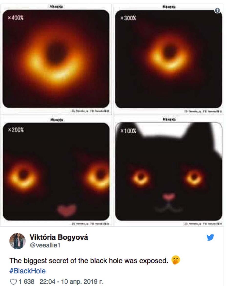 Бездонные глаза кошки.