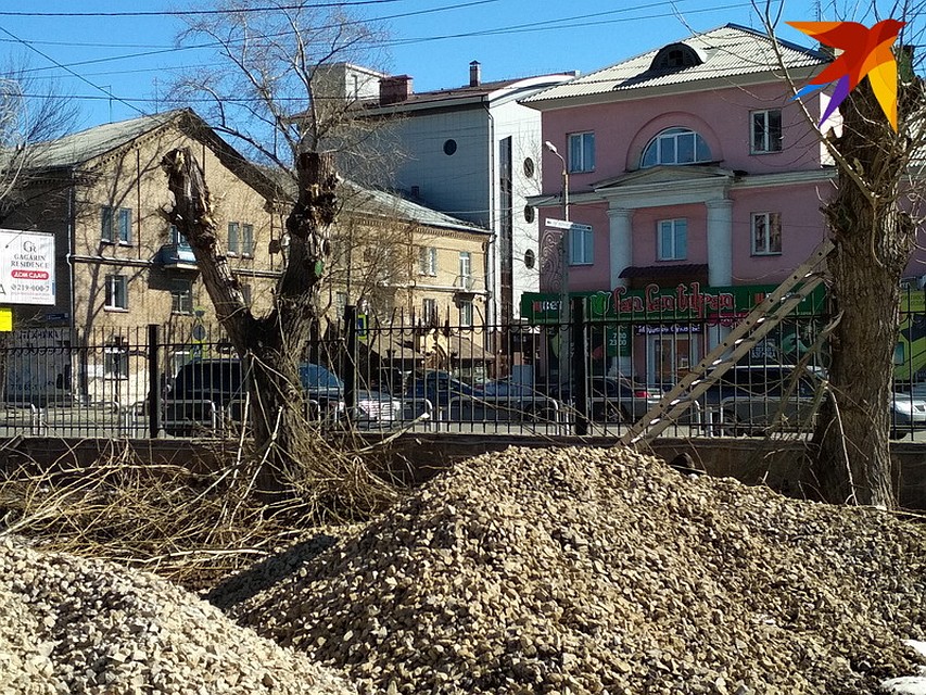 Горожан беспокоит судьба деревьев. Фото: Елена Майорова.