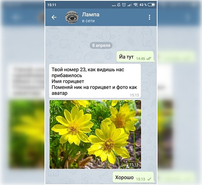 Детям давали имена цветов, каждый должен был поставить соответствующую фото на аватарку Фото: из личного архива