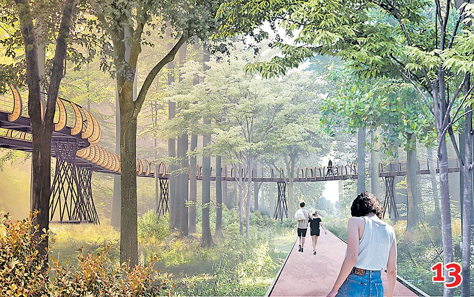 В Шереметьевской дубраве появится экотропа. Фото: mos.ru