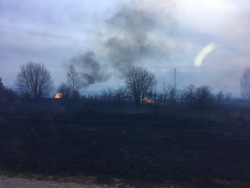 Фото: Ольга Семина.