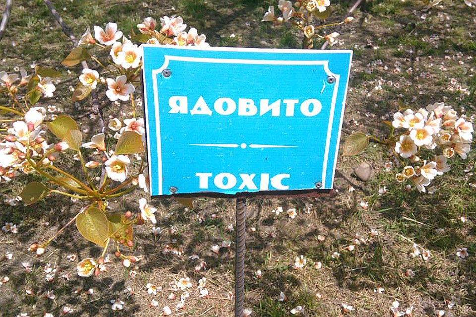 Фото: пресс-служба Сочинского нацпарка