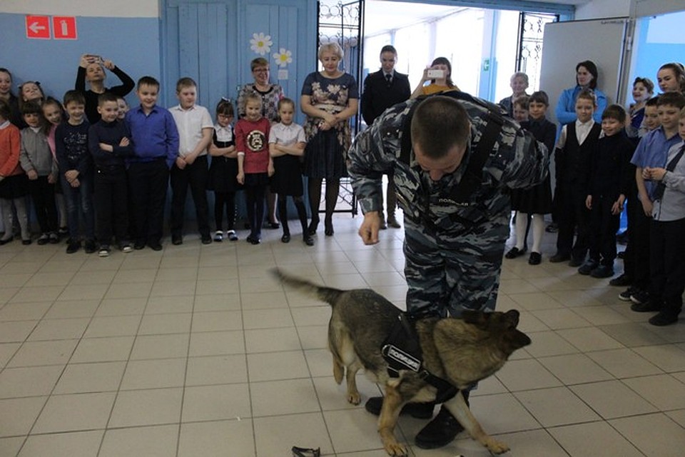 Фото: МО МВД России «Серовский»