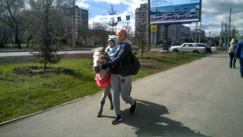 А за периметром можно было прокатить детей на пони Фото: Мария МИШКИНА