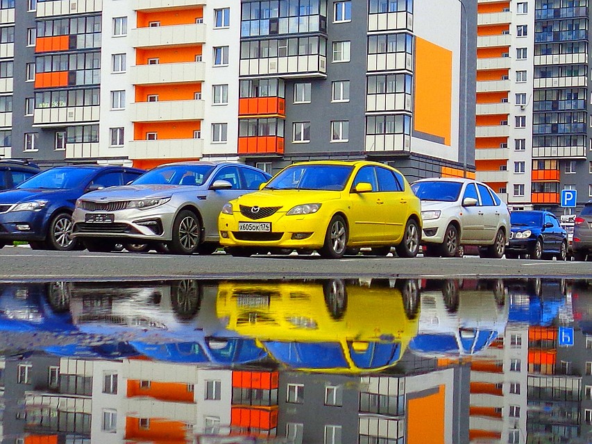 Фото: Алексей Веретнов.