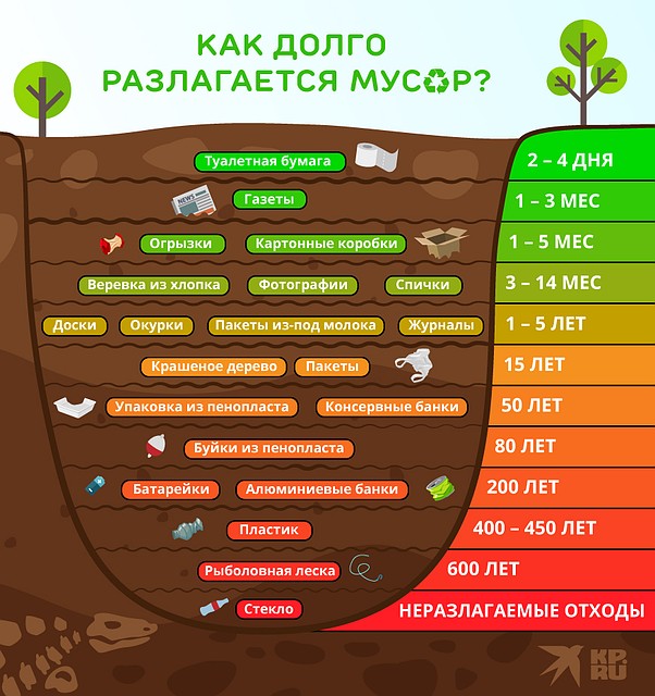 Сроки разложения отходов Фото: Рушан КАЮМОВ