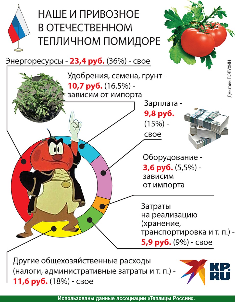 Наше и привозное в отечественном помидоре Фото: Дмитрий ПОЛУХИН