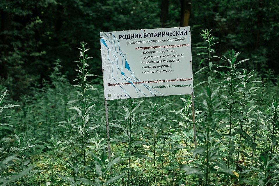 Специалисты сохраняют биологическое разнообразие Фото: Светлана МАКОВЕЕВА
