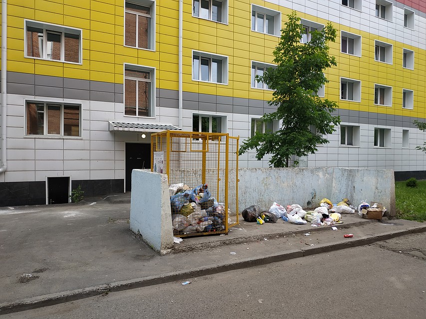 В принципе, без контейнеров даже больше места для мусора. Фото: Софья СЕВОСТЬЯНОВА