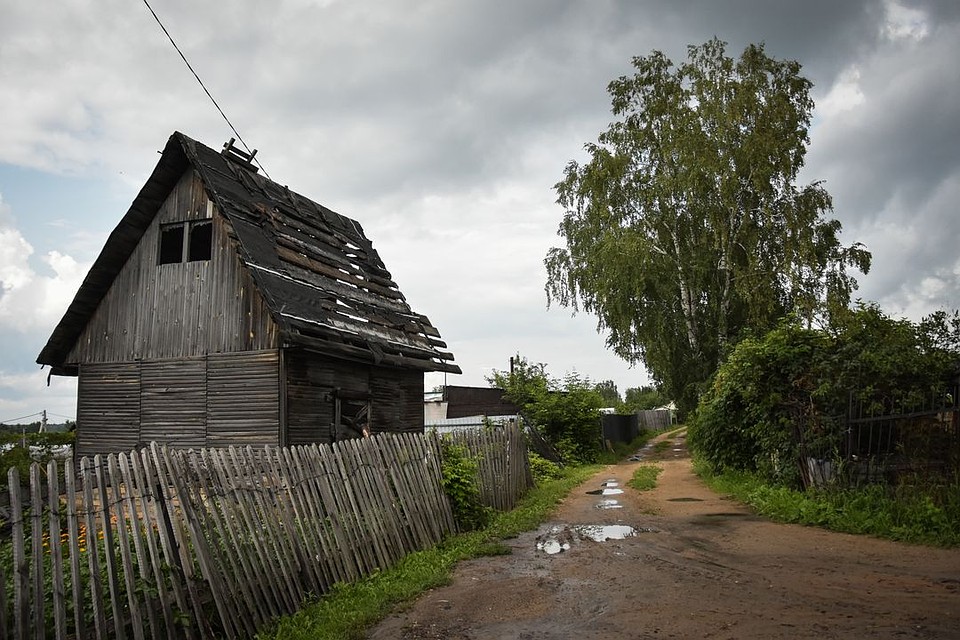 Некоторые дачники забросили свои участки. Фото: Алена МАРТЫНОВА