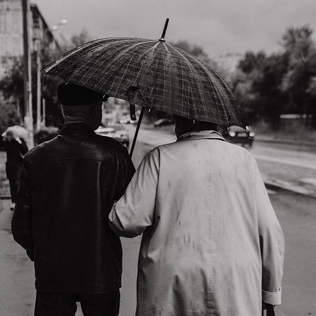 Фото: Алексей Потапов