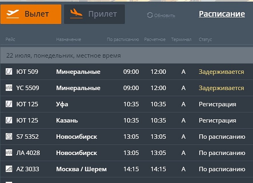 Самолёт должен будет вылететь в 12 часов. Фото: скриншот