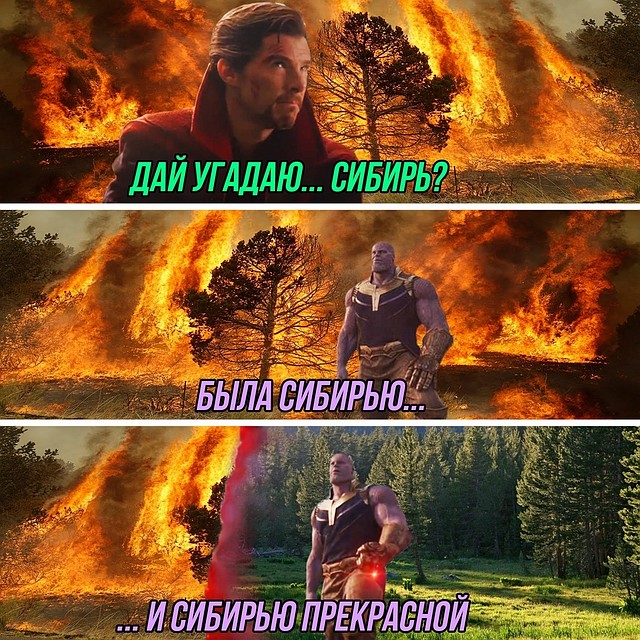 Мем про тушение лесных пожаров. https://vk.com/rhymes