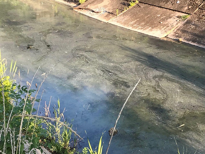 От воды исходит едкий химический запах Фото: Анна Демченко