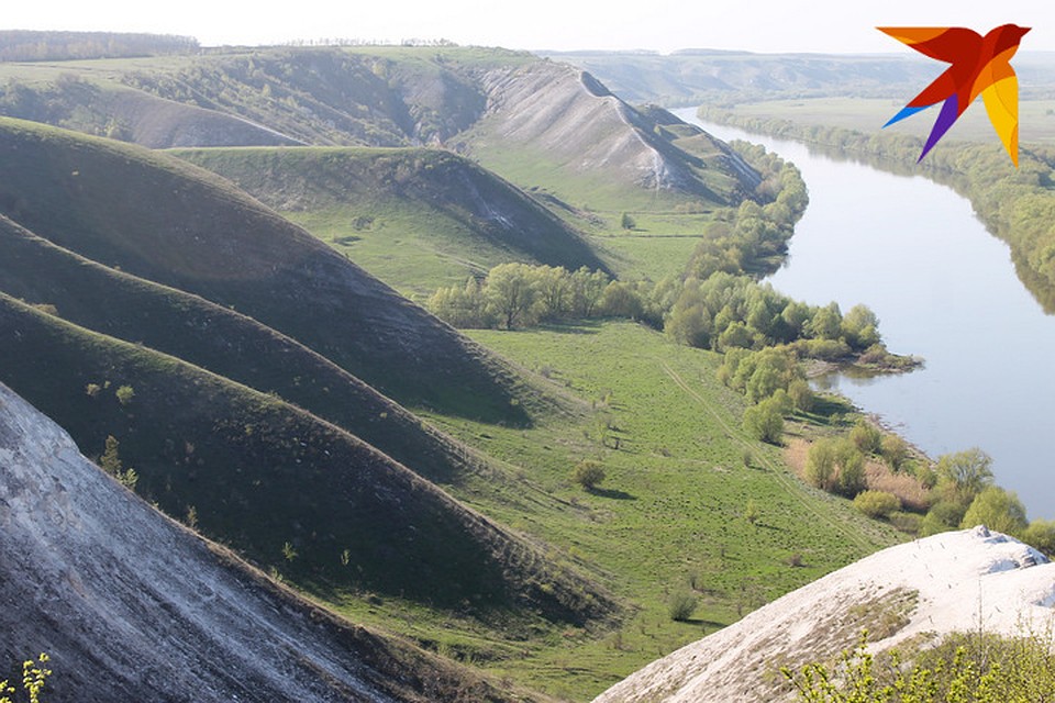 Склоны Сторожевого покрывают норки зверей. Фото: Станислав ШЕВЧЕНКО