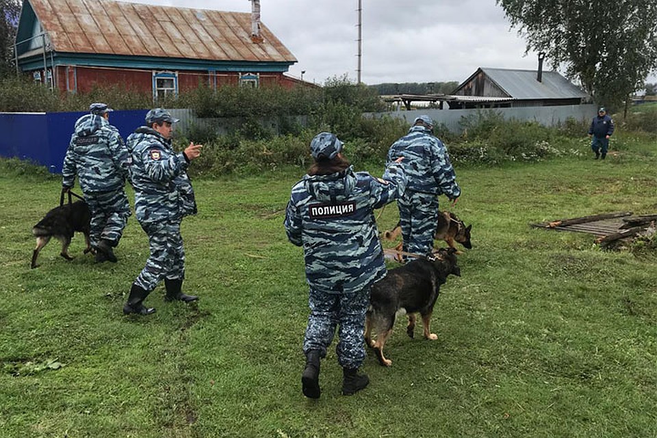 Сейчас на месте работают кинологи Фото: Эльвина АПАРИНА