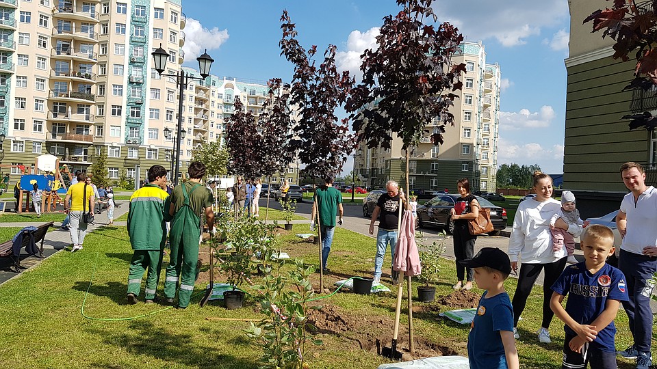 Фото: пресс-служба AVA Group