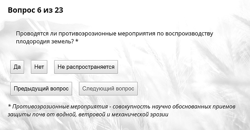 Отвечать на вопросы лучше максимально честно. Это в ваших интересах!