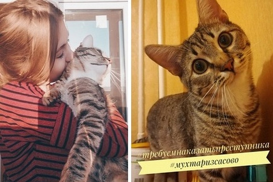 Фото: Cлужба по контролю за безнадзорными животными.