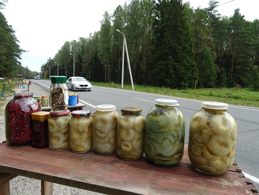 Грибы в этих местах - это еще и глубоко политизированный вопрос Фото: Алексей ОВЧИННИКОВ