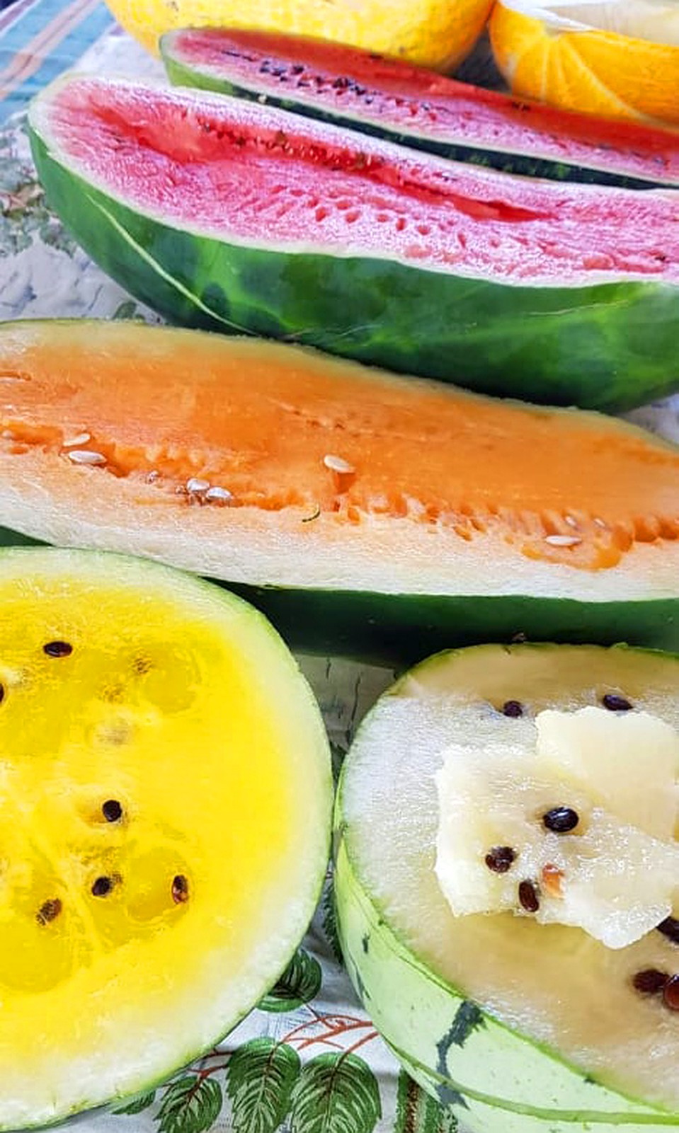 Арбузы на разный вкус и кошелек. Фото: Анастасия Соколова