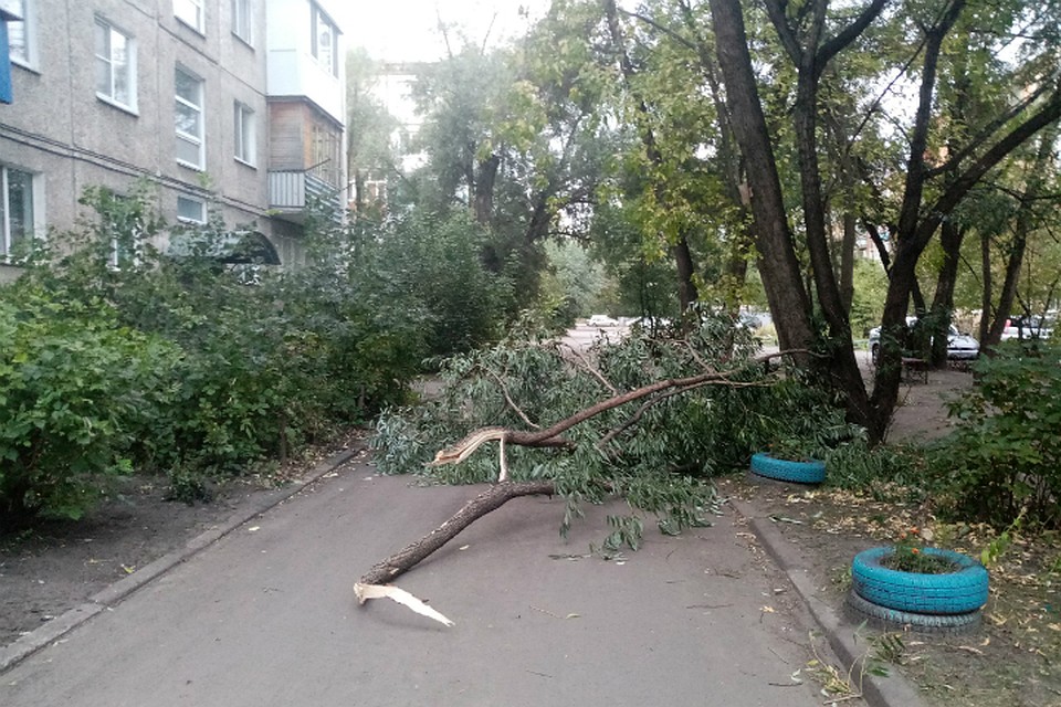 Фото: «ЧП Омск», vk.com