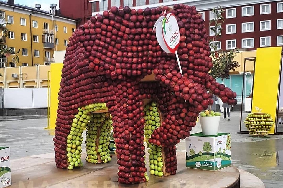 Слон из яблок. До встречи с людьми Фото: СОЦСЕТИ
