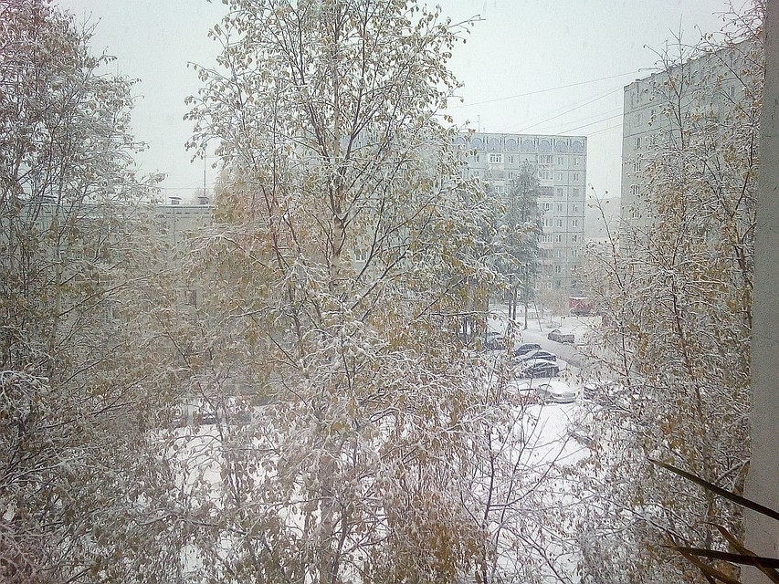 Горожане делятся фотографиями в социальных сетях Фото: соцсети
