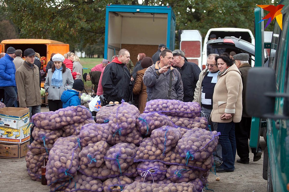 В Минске стартуют сельскохозяйственные ярмарки Фото: Виктор ГИЛИЦКИЙ