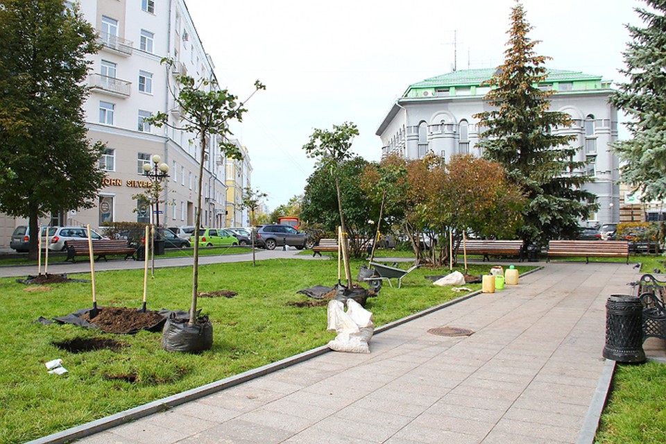 Чиновники, журналисты и экологи высадили деревья в новом сквере имени Евстигнеева Фото: Роман ИГНАТЬЕВ