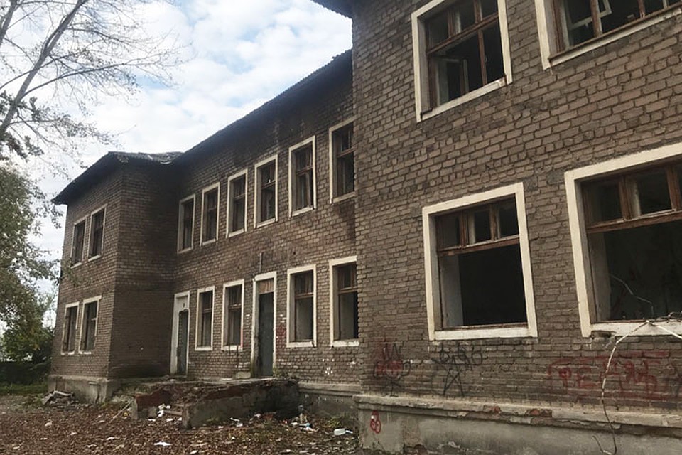 Здание, в котором пряталось собачье семейство