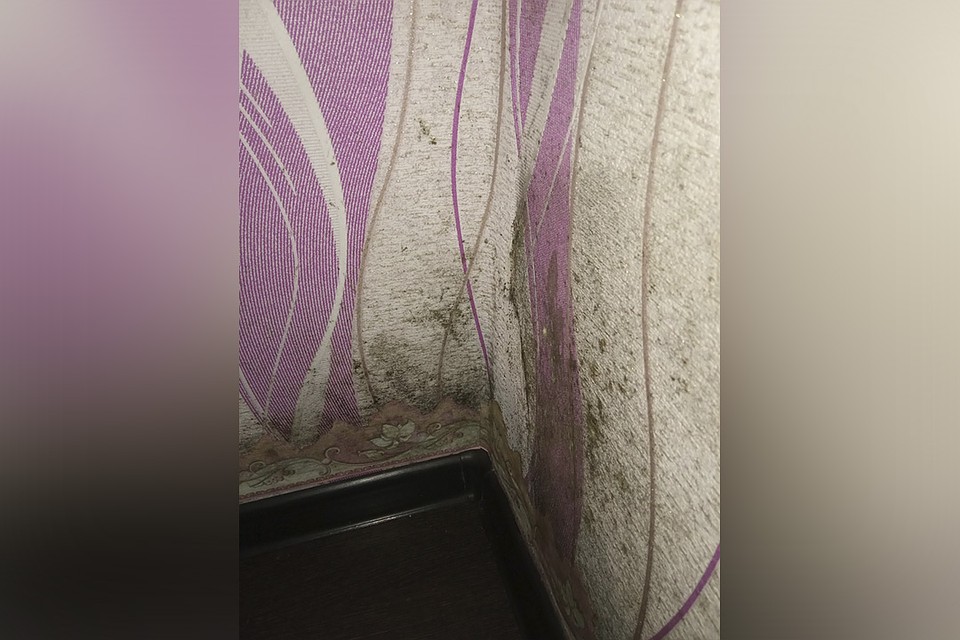 В таких условиях вынуждена жить многодетная семья. Фото: предоставлено героями публикации