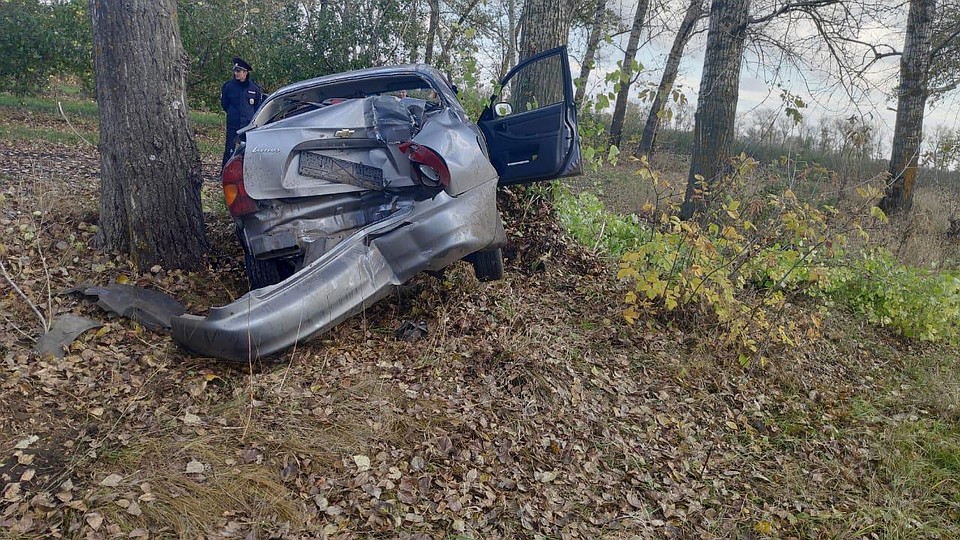 23-летний водитель был нетрезв Фото: Пресс-служба УГИБДД по Тамбовской области