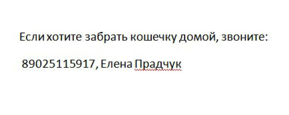 Хотите забрать кошечку - звоните.