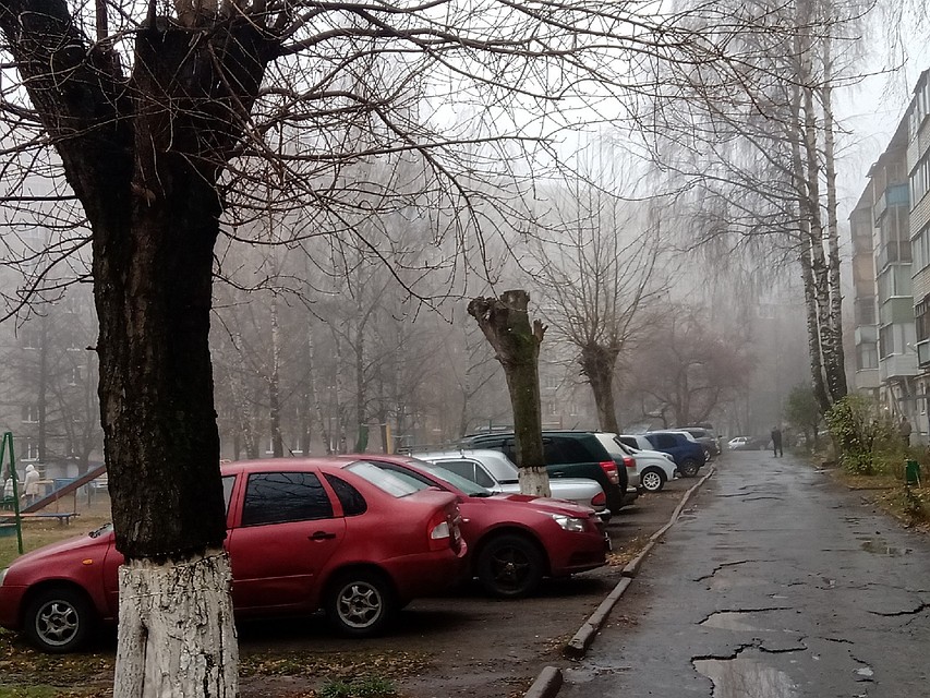 Фото: Дмитрий Бикин