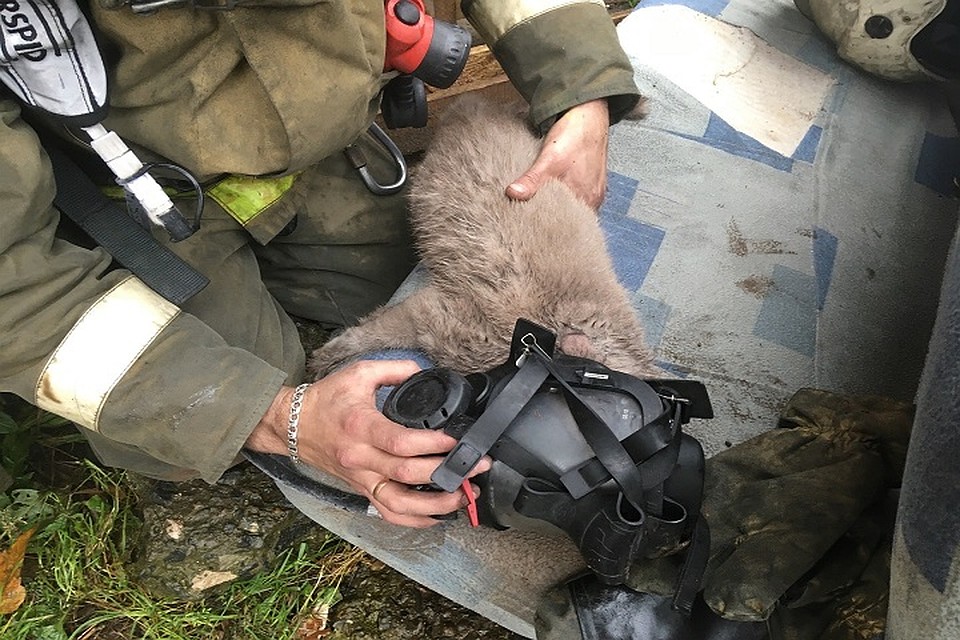 Фото: Подслушано Соликамск