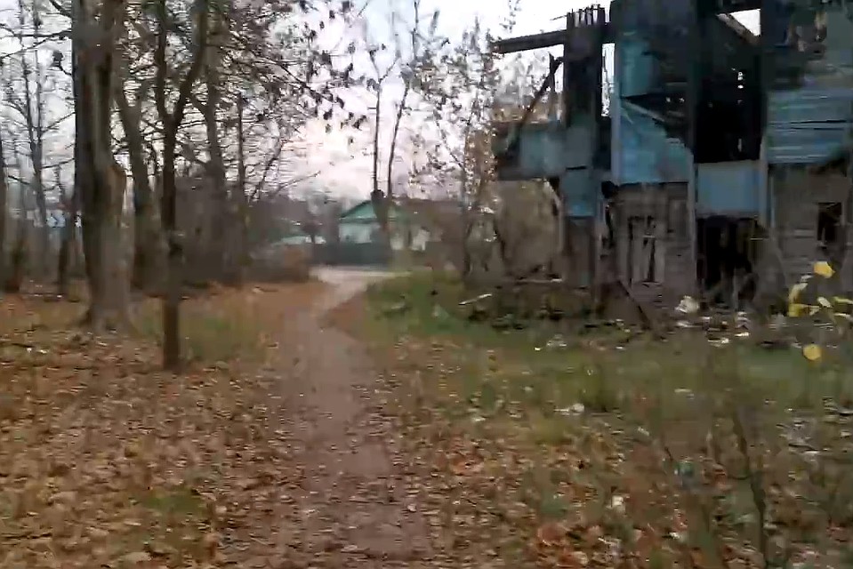Где-то недалеко от этого места видели бродячих собак. Фото: Юлия Кузнецова.