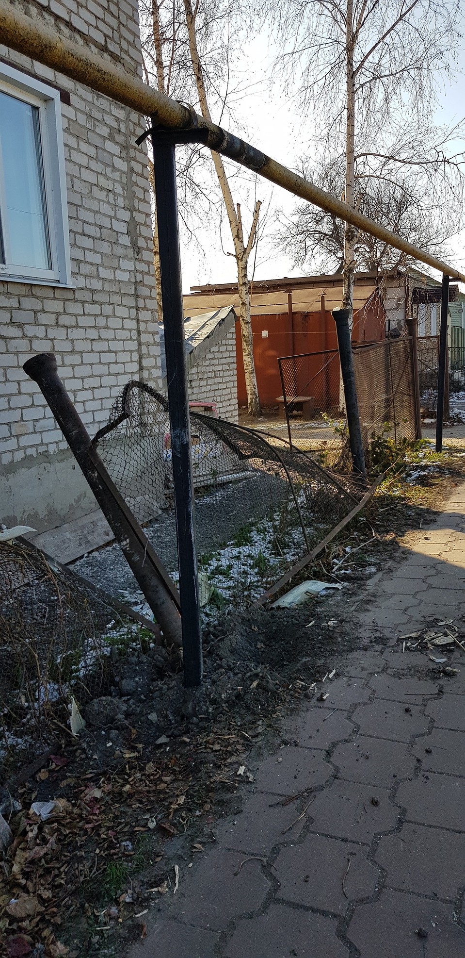 Фото Олеся Шубина
