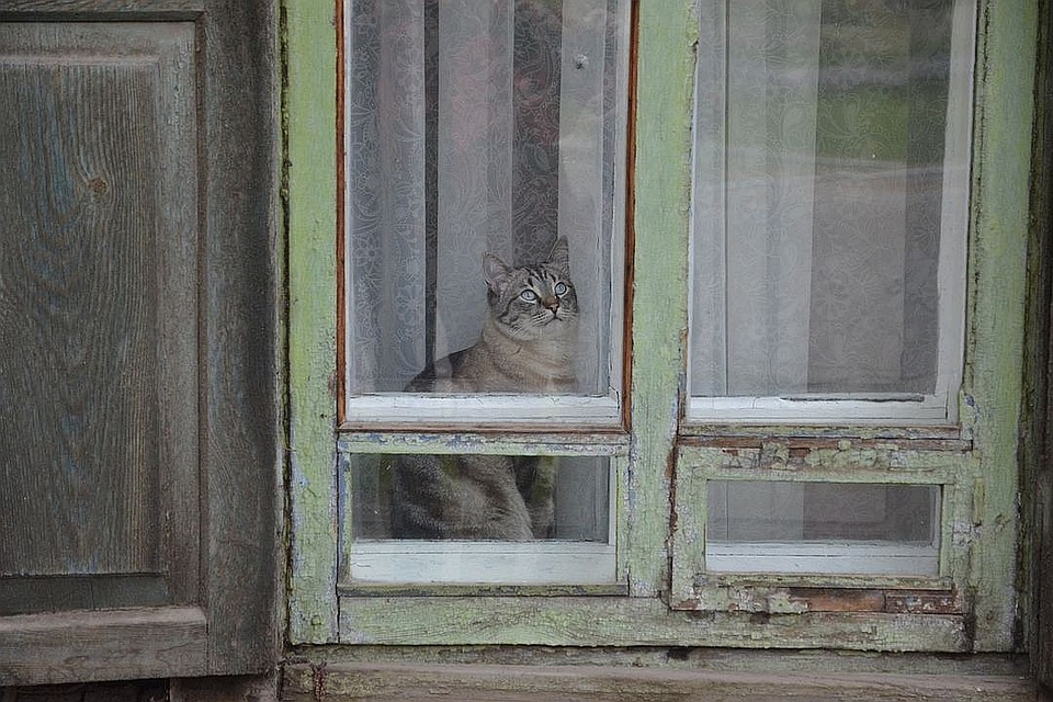 В доме до сих пор живут люди. Фото: Влад КОМЯКОВ