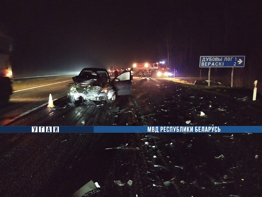 В Борисовском районе погибла женщина и пострадал ребенок. Фото: МВД