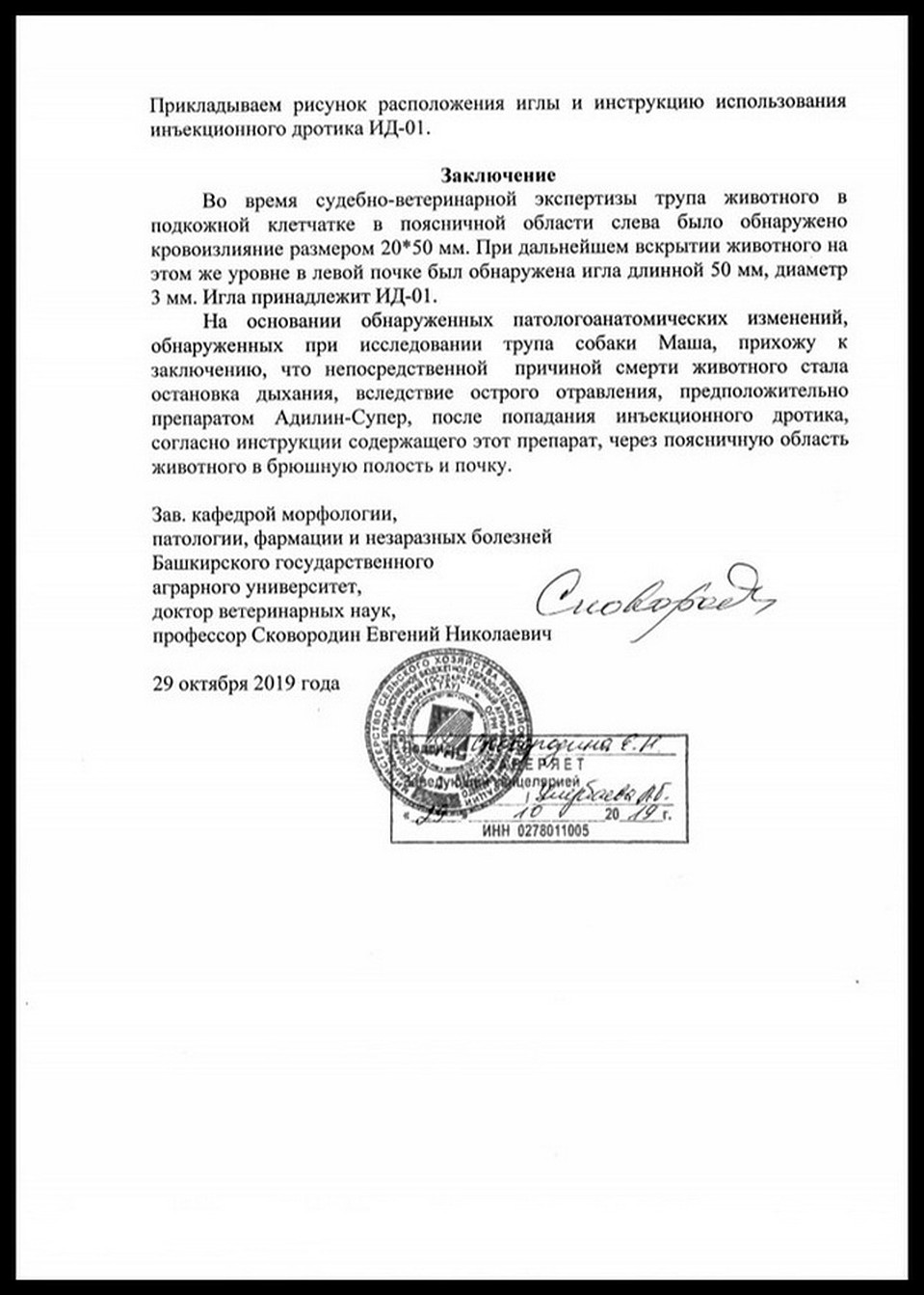 Согласно заключению эксперта, собаку отравили