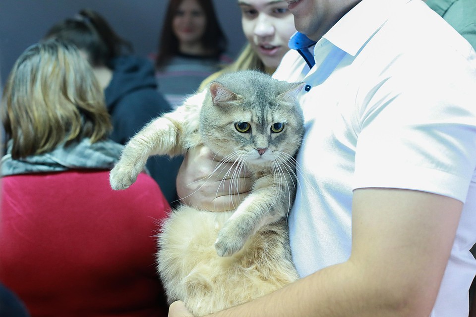 Фото Екатерины Смолихиной