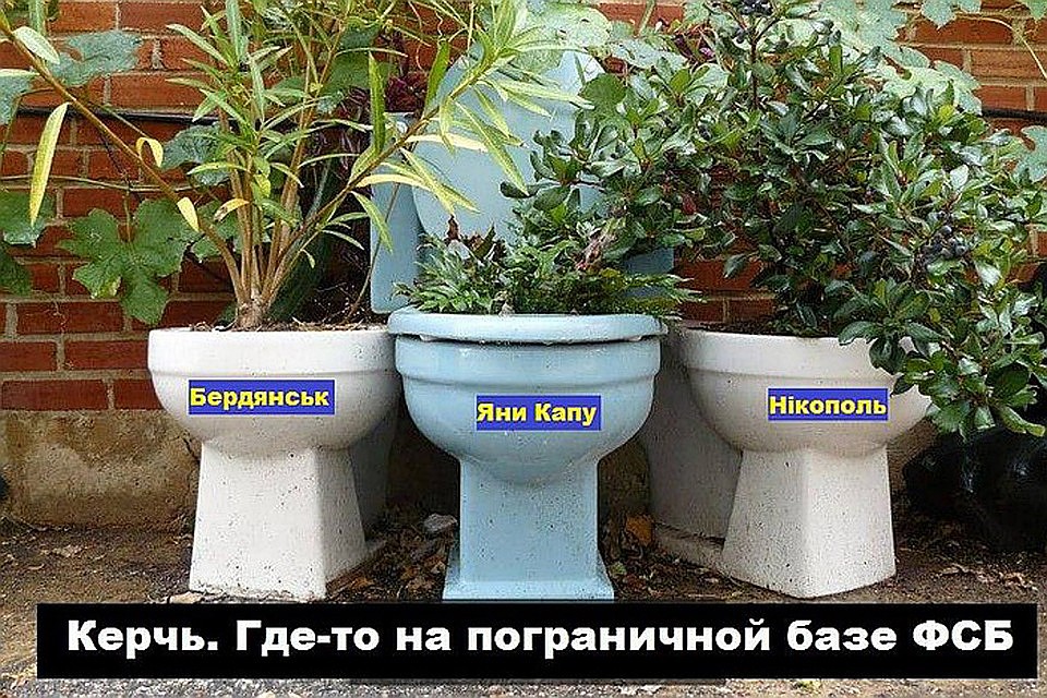 Украинская сторона заявила, что на возвращенных из России кораблях похищены унитазы - соцсети отреагировали мемами Фото: СОЦСЕТИ
