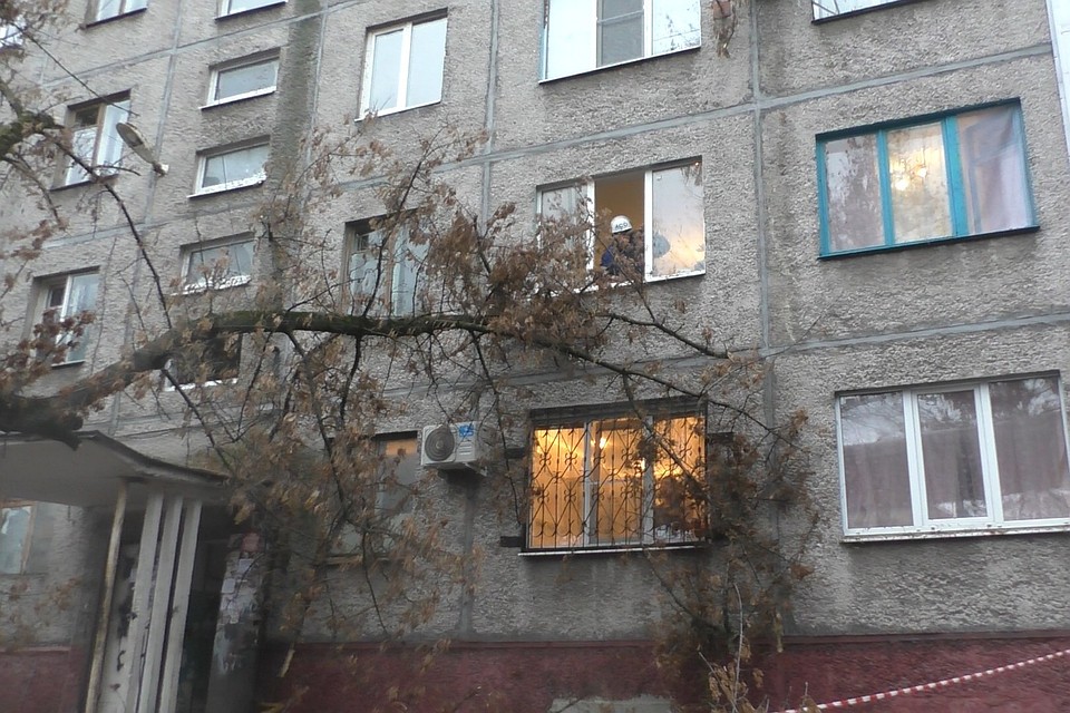В выходные дерево рухнуло на козырек подъезда дома в Липецке Фото: Пресс-служба ГО и ЧС Липецка.