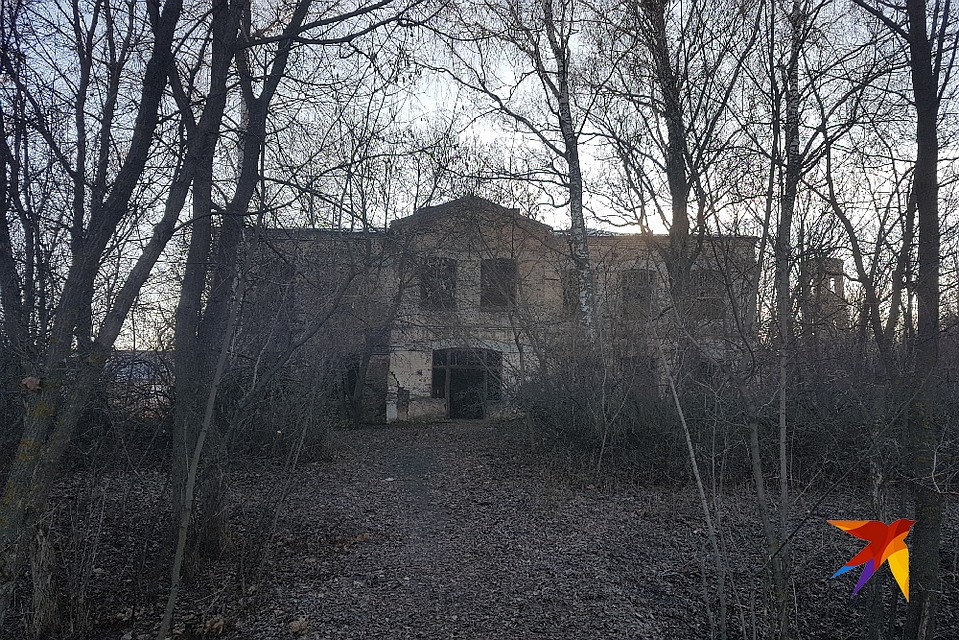 Дорога в школу. Заброшенную.