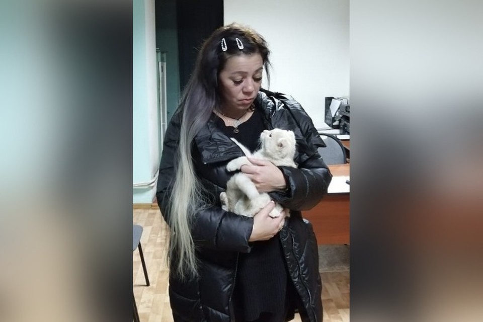 Беглец нашел временный приют, а потом вернулся к хозяйке. ФОТО: ГУ МВД России по Кемеровской области