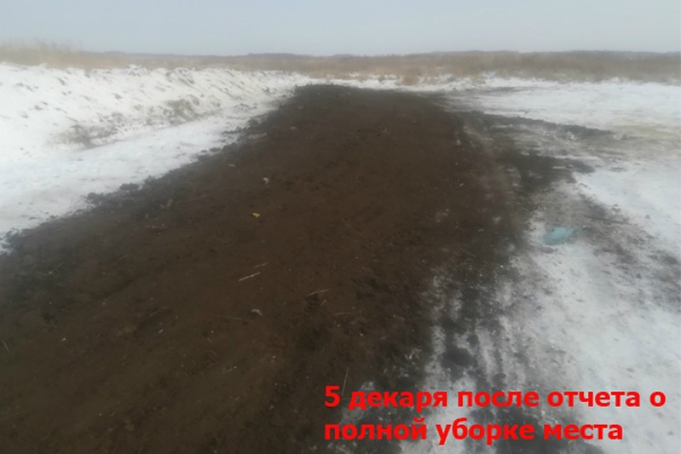 Фото: Виталий Поддубиков