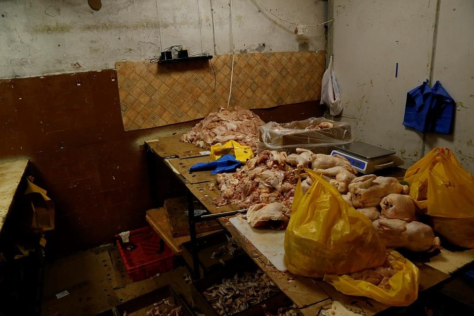 Вся курица была опасной, а санитарные нормы нарушены в грубой форме. Фото:Россельзхознадзор по СПб ЛО и ПО.